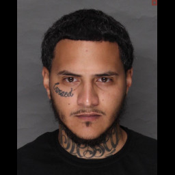 Image for Pinero, Jonathan   - PACC 780-113-A31I- POSSESSION OF SMALL AMOUNT OF MARIJUANA (M)