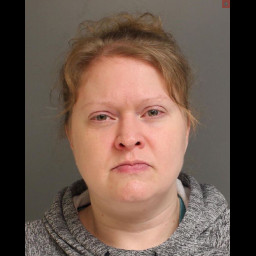 Image for Hamilton, Lisa M  - 3921(A) THEFT BY UNLAWFUL TAKING OR DISPOSITION (F3) (1 COUNT) and 9 additional charges