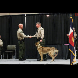 Investigator Olson and K9 Deni accept an award from Sheriff Todd Rowell.