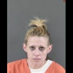 Image for Feroce, Elise N  - ABSCONDING FROM PROBATION SUPERVISION