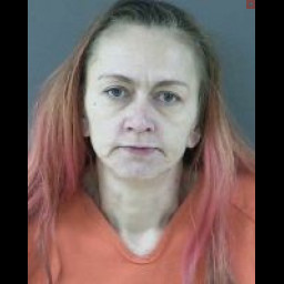 Image for BRADFORD WOMAN SENTENCED ON DRUG CHARGES