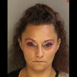 Image for WOMAN ARRESTED BY MCKEAN COUNTY DRUG TASK FORCE TO STATE PRISON FOR SELLING METHAMPHETAMINE