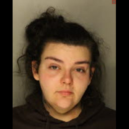 Image for BRADFORD WOMAN SENTENCED TO STATE PRISON FOR DRUG CRIMES AFTER ARREST BY MCKEAN COUNTY DRUG TASK FORCE