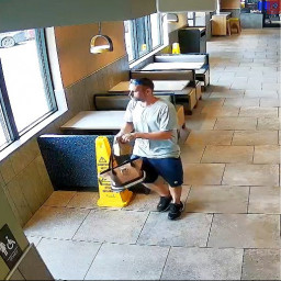 Image for Manheim Township police search for thwarted purse thief