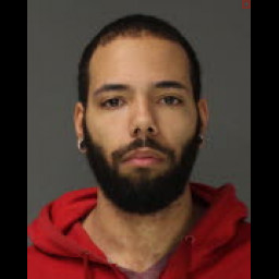 Image for DOELMAN, Robert   - 75-3802 C*-(M) DUI: HIGHEST RTE OF ALC (BAC .16+) and 3 additional charges