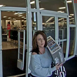 Image for Retail Theft Investigation