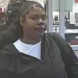 Image for Retail Theft Investigation