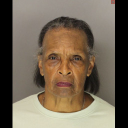 Image for Jackson, Janet E  - (18) 3924 THEFT OF LOST PROPERTY (M1) and 2 additional charges