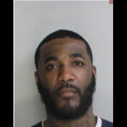 Image for Rogers, Andre Charles Jr. - (18) 3929 (A)(1) RETAIL THEFT (F3) & RELATED CHARGES