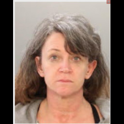 Image for Bailey-Dawson, Barbara Ann  - (1 COUNT) (18) 3929 (A)(1) RETAIL THEFT (F3) & RELATED CHARGES