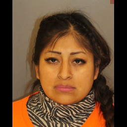 Image for Paguay-Villas, Soraya   - (1 COUNT) (18) 3929 (A)(1) RETAIL THEFT and 3 additional charges
