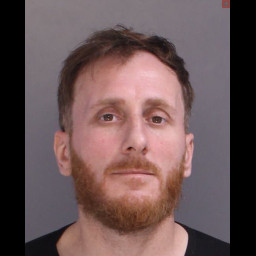 Image for Rogava, Teimuraz   - THEFT OF LEASED PROPERTY