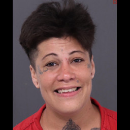 Image for Miller, Michelle   - AGGRAVATED ASSAULT-ATTEMPTS TO CAUSE OR CAUSES BI TO DESIGNATED INDIVIDUALS