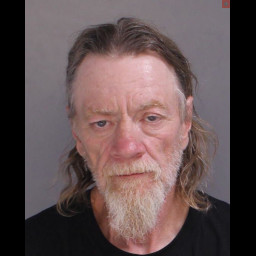 Image for Swan, John   - RECEIVING STOLEN PROPERTY