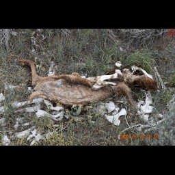 DSC_0113.jpg