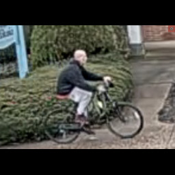 22-05294_suspect2.png