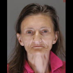 Image for Eldreth, Brandi N.  - (1 COUNT) (75) 3802(D)(1)(I) DRIVING UNDER THE INFLUENCE OF CONTROLLED SUBSTANCE and 1 additional charge