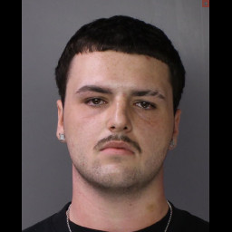 Image for CRUZ, SEAN JORDAN  - (1 COUNT) (18) 2706 (A)(1) TERRORISTIC THREATS and 7 additional charges