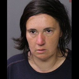 Image for TAYLOR, CARA ANNE  - 18 3929 RETAIL THEFT and 1 additional charge