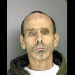 Image for SMITH, David Leslie  - THEFT & RELATED OFFENSES