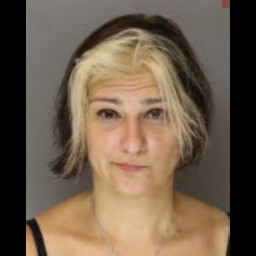 Image for Myers, Cheryl A.  - DUI & RELATED OFFENSES