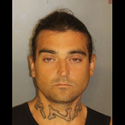 Image for SALZMAN, CHARLES R.  - CRIMINAL TRESPASS and 1 additional charge