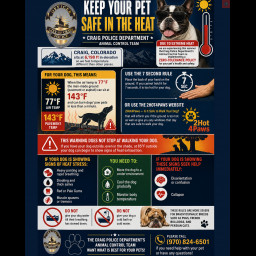 Image for Animal control warning for extreme heat