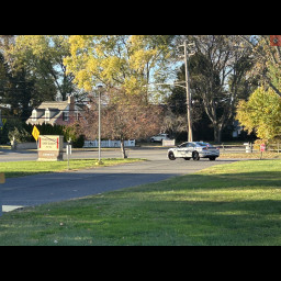 img_1320.jpeg