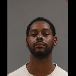 Image for Gadson, Tyre   - (1 COUNT) (75) 3802 A1 DUI GENERAL IMPAIRMENT and 3 additional charges