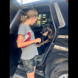 Image for K9 Cowboy takes time to say hello