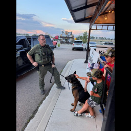 Image for K9 Cowboy meeting some new friends