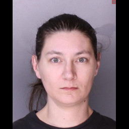 Image for Seip, Sara May   - (1 COUNT)(75)3802D1 DUI CONTROLLED SUBSTANCE (M)