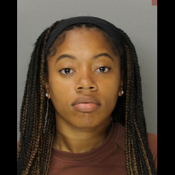 Image for Williams, Brittany    - (1 COUNT)(18)3929A1 RETAIL THEFT (M1)