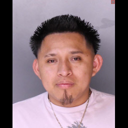 Image for Ramos-Ramirez, Hector   - (1 COUNT) (75) 3802A1 DUI: GENERAL IMPAIRMENT (M) and 1 additional charge