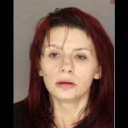 Image for Smith, Madison Kaitlynn  - (1 COUNT) PROHIBITED ACTS - POSESSION (F3)