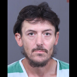 Image for RETAIL THEFT
