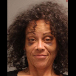Image for RETAIL THEFT