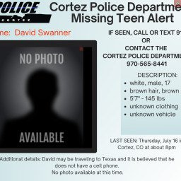 Image for Missing Teen - David G. Swanner