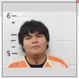 Image for Holly, Ezekial J.  - 6 COUNTS MENACING (PLACED A PERSON IN FEAR W/ WEAPON) and 3 additional charges