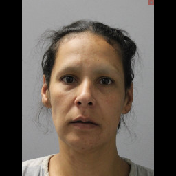 Image for Vildosola, Vanessa M  - FAILURE TO APPEAR POSSESSION SCH 1/2