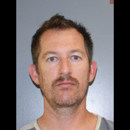 Image for Weaver, Ted L  - DRIVING UNDER THE INFLUENCE