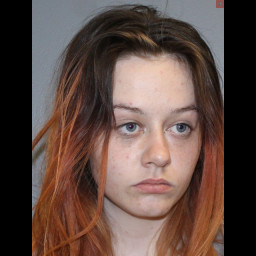 Image for Pearson, Angelina J  - DRIVING UNDER THE INFLUENCE and 1 additional charge