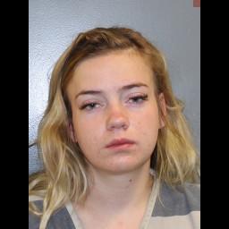 Image for Reynolds, Grace E  - VIOLATION OF PROTECTION ORDER and 1 additional charge