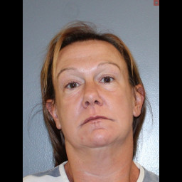 Image for Taylor, Traci L  - OBSTRUCTION and 2 additional charges