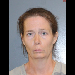 Image for Brady, Callie J  - BURGLARY 2 and 3 additional charges