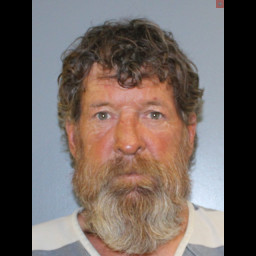 Image for Berreman, Delbert   - FAILURE TO APPEAR DISORDERLY CONDUCT