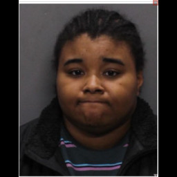 Image for Douglas, Alexis   - (1 COUNT ) RETAIL THEFT (M1) and 1 additional charge