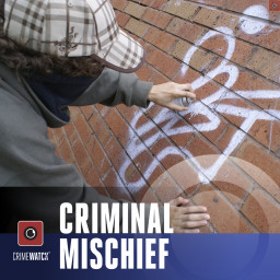 Image for Vandalism
