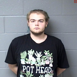 Image for Sims, Leland C.  - BURGLARY and 1 additional charge