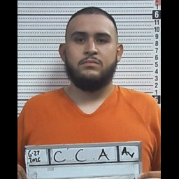 Image for Carrillo, Cesar Alberto  - VARIOUS CHARGES